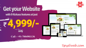 Business Website @ 4999 Only